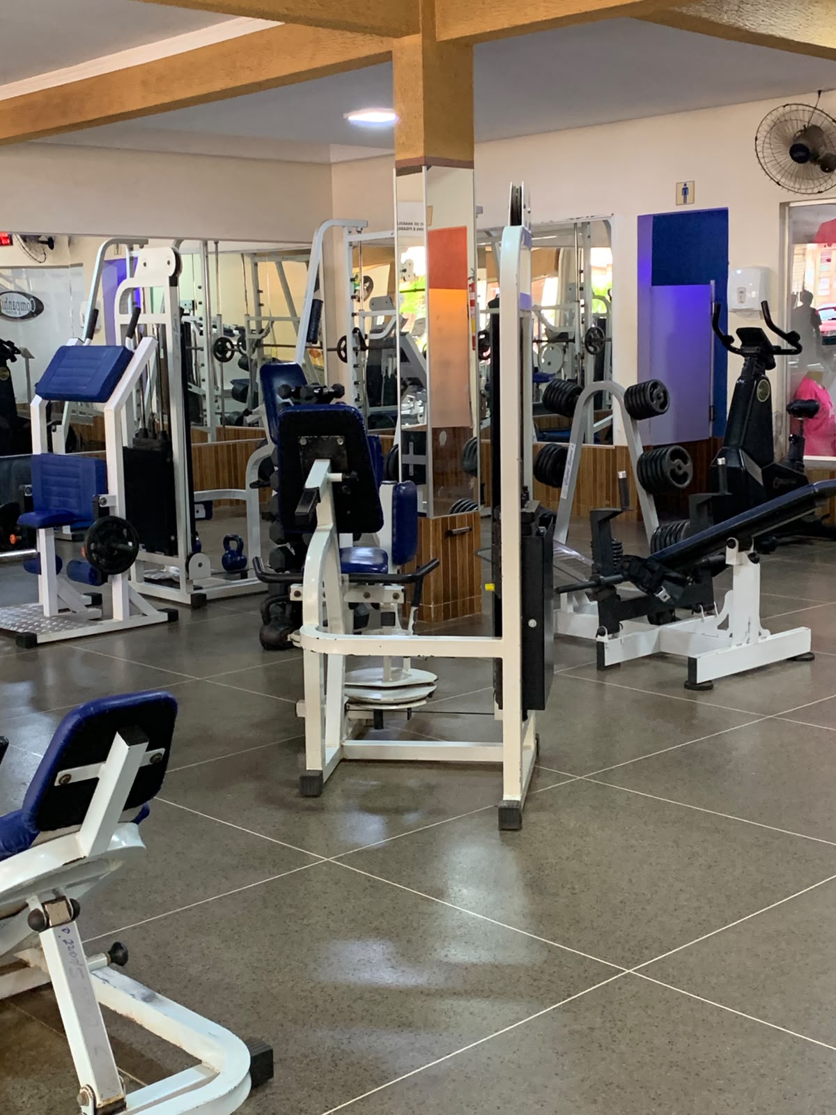 Galeria