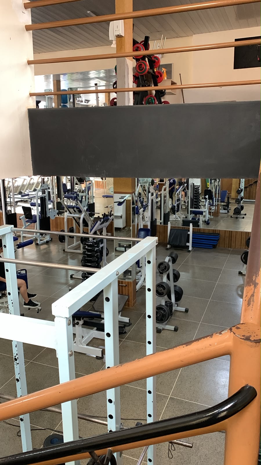 Galeria