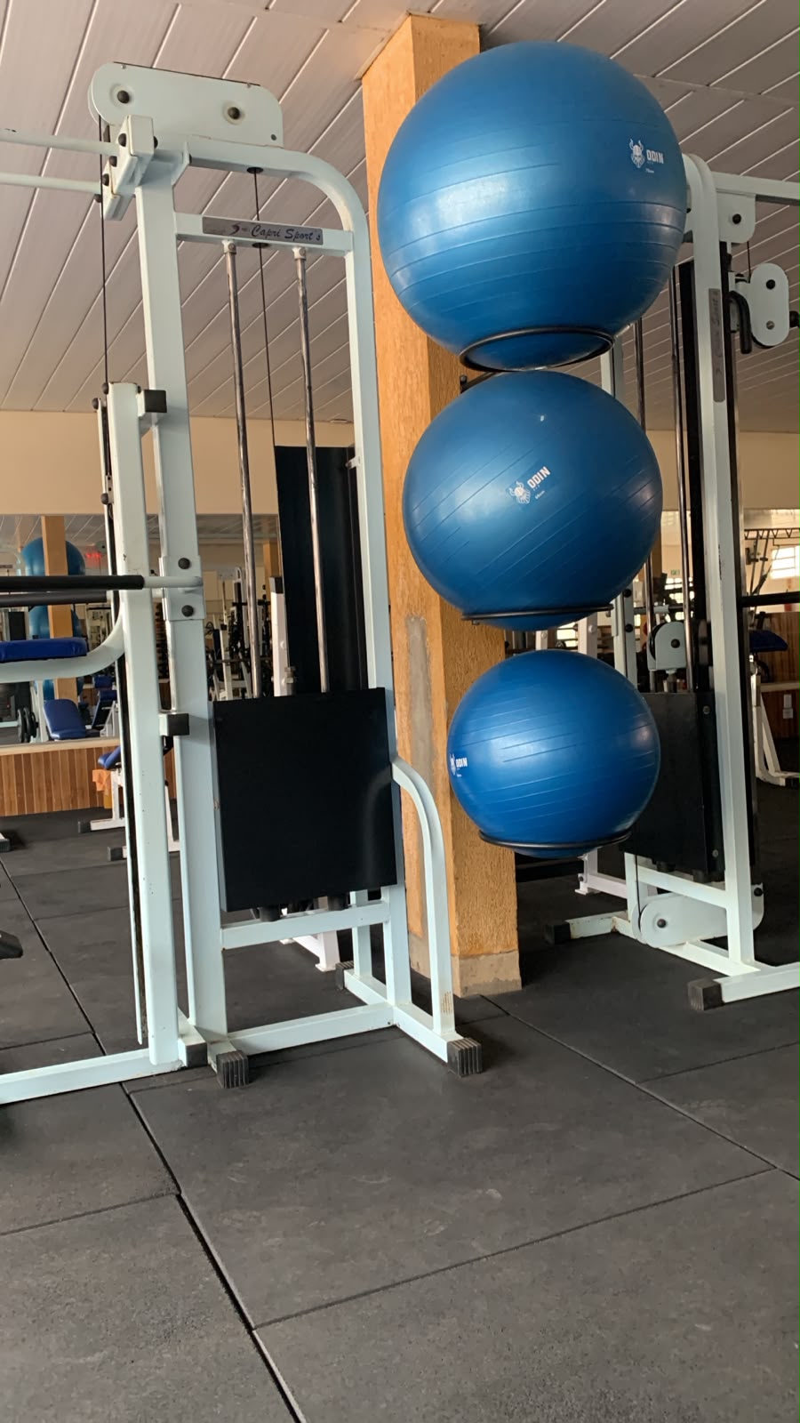 Ginástica